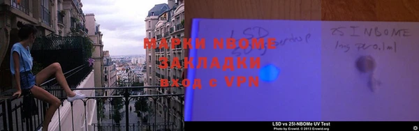 прущие грибы Коряжма