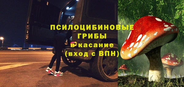 прущие грибы Кулебаки