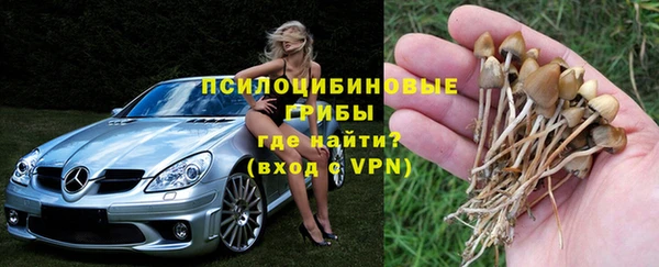 прущая мука Куйбышев