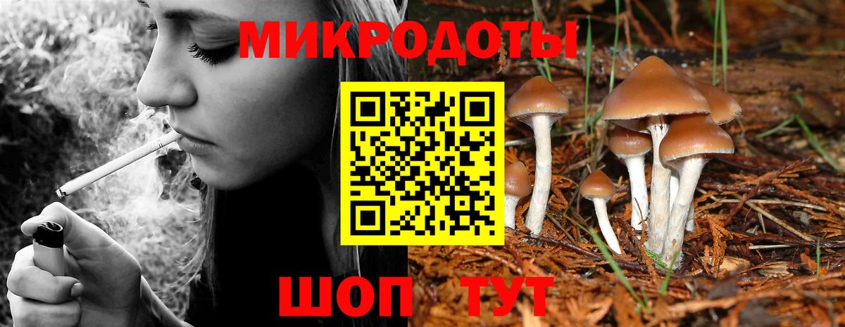 Галлюциногенные грибы Magic Shrooms Малгобек
