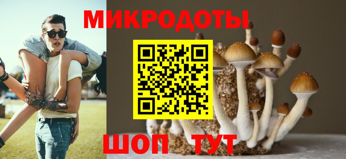 Галлюциногенные грибы ЛСД  Вход с VPN  Малгобек 