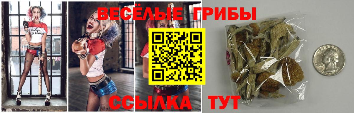 ГАШ Малгобек