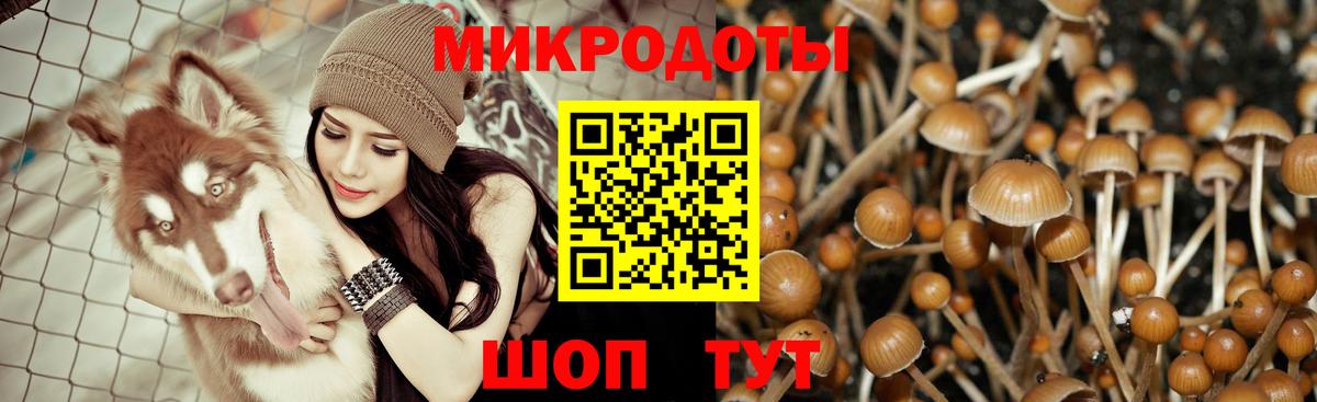 наркошоп  Малгобек  Псилоцибиновые грибы Magic Shrooms 