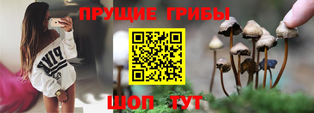 Галлюциногенные грибы MAGIC MUSHROOMS Малгобек